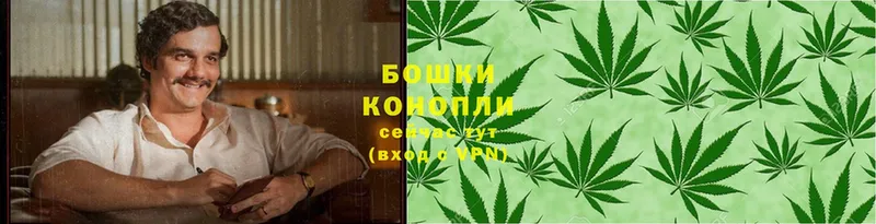 Бошки Шишки SATIVA & INDICA  блэк спрут tor  Пенза 